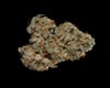 Bubble Gum