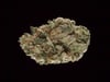 Grapefruit