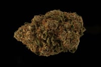 Gorilla Glue #4 Gorilla Glue #4