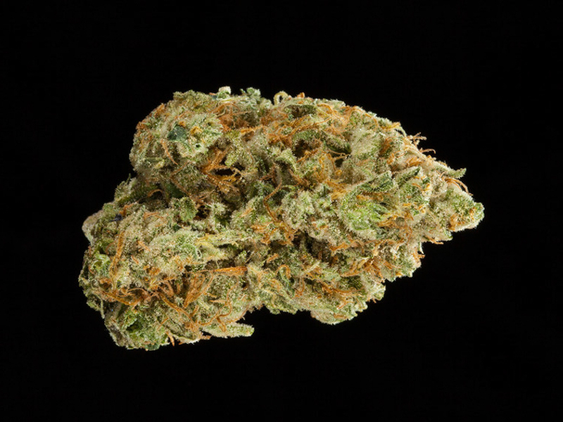 Super Silver Haze CHANGE Super Silver Haze CHANGE