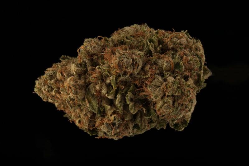 Gorilla Glue #4 Gorilla Glue #4