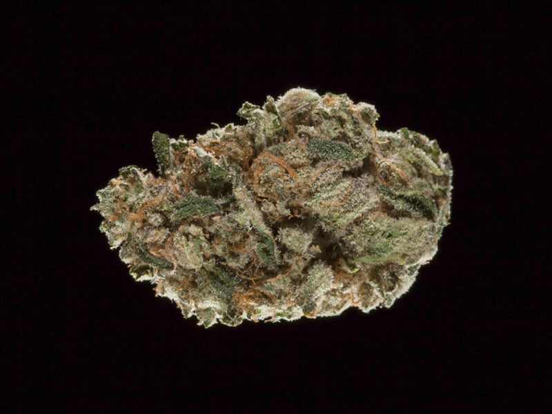 Grapefruit Grapefruit