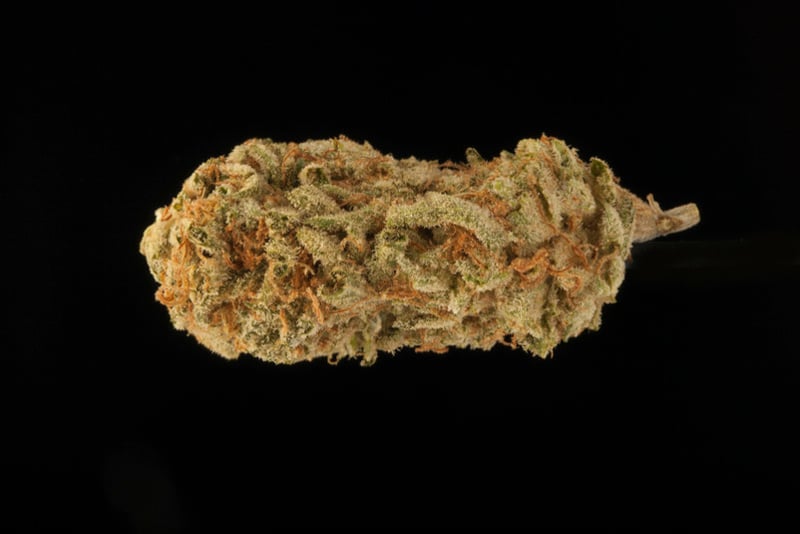 Blackberry Kush Blackberry Kush